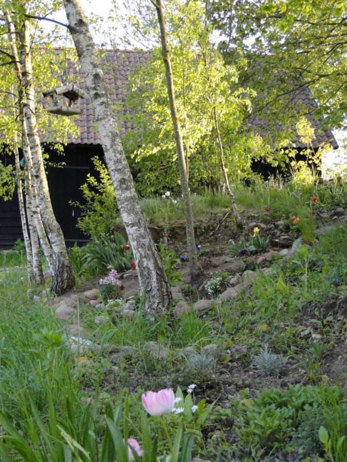 Agroturystyka Zywe Kruklanki Luaran gambar
