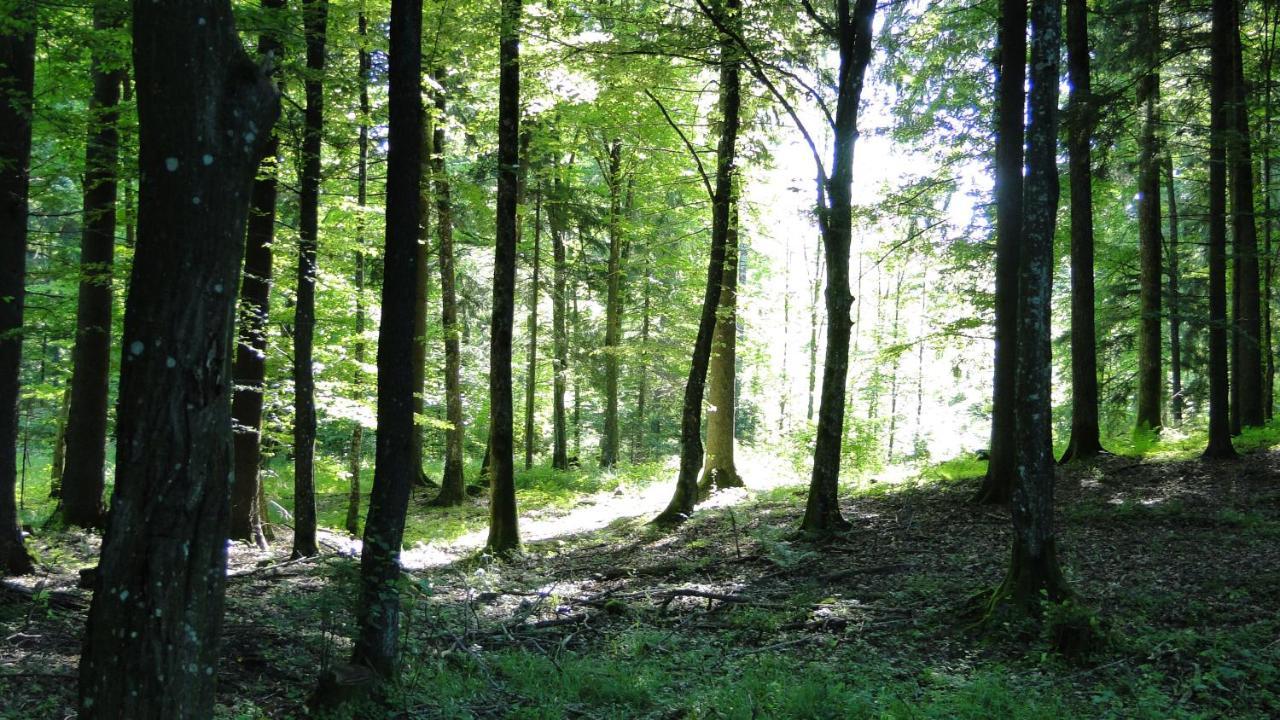 Agroturystyka Zywe Kruklanki Luaran gambar