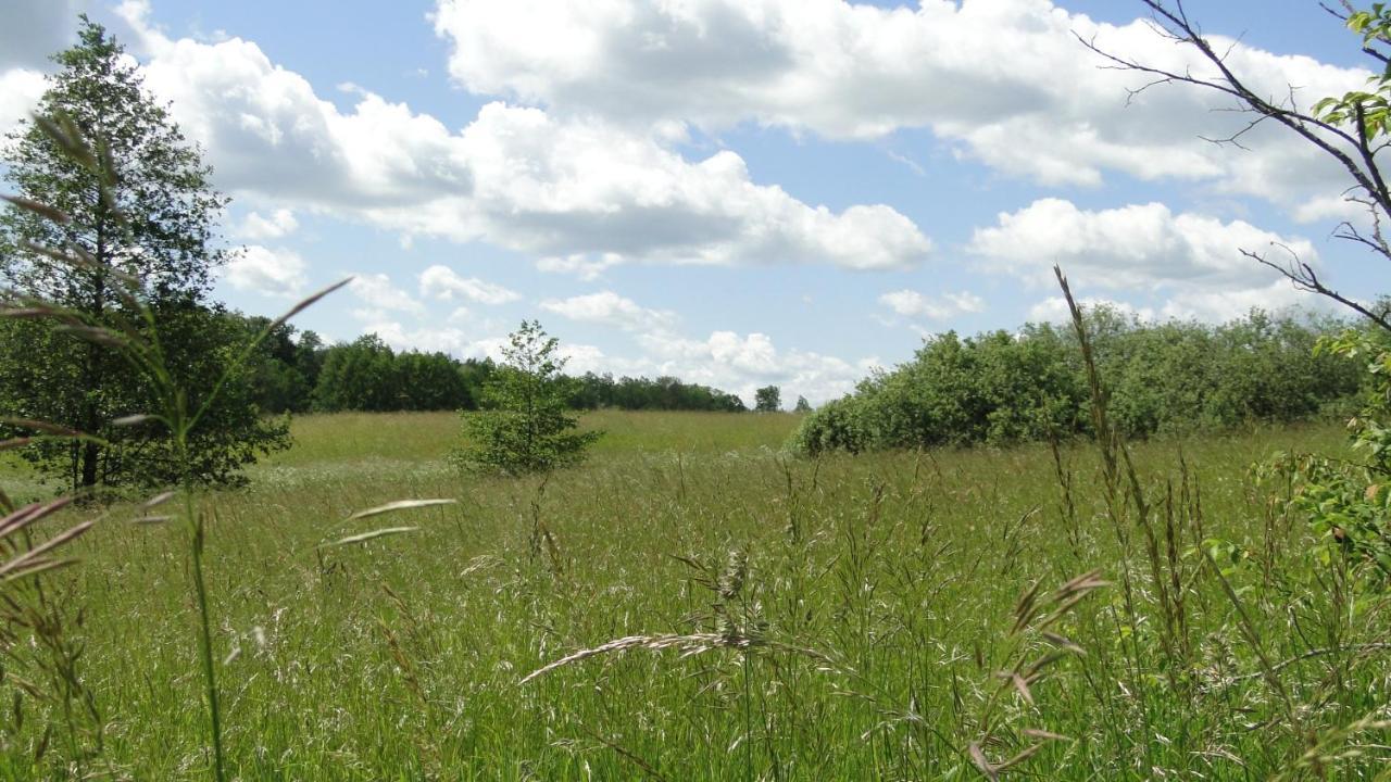 Agroturystyka Zywe Kruklanki Luaran gambar