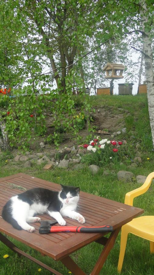 Agroturystyka Zywe Kruklanki Luaran gambar