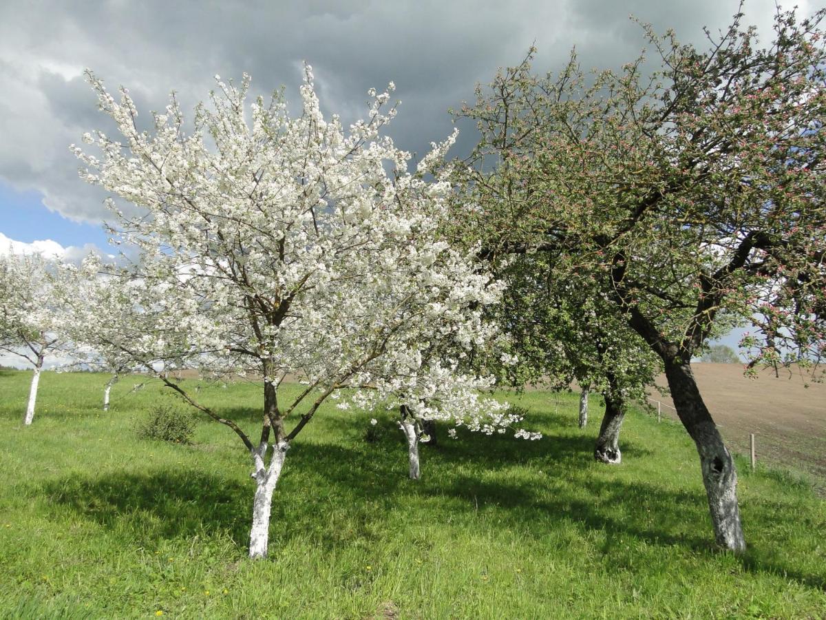 Agroturystyka Zywe Kruklanki Luaran gambar
