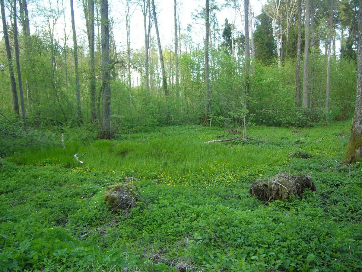Agroturystyka Zywe Kruklanki Luaran gambar