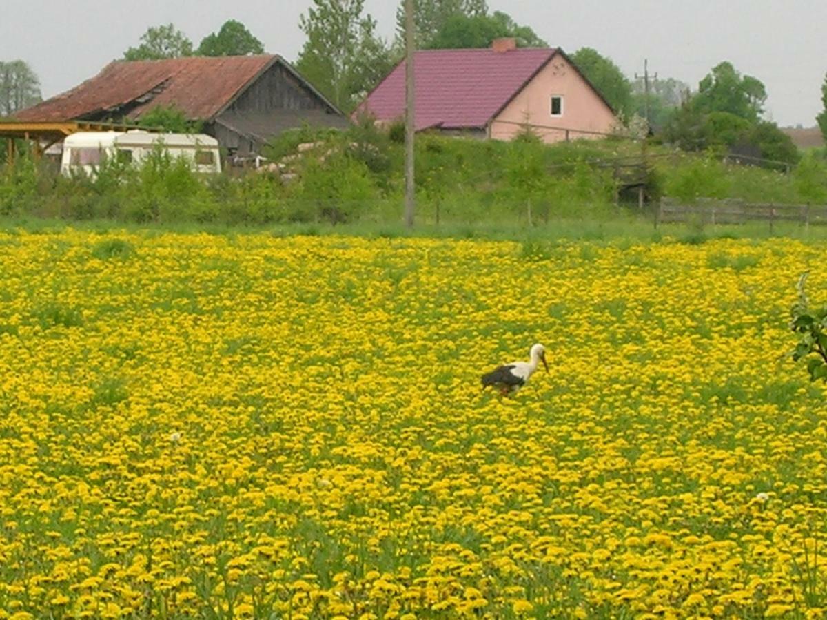 Agroturystyka Zywe Kruklanki Luaran gambar